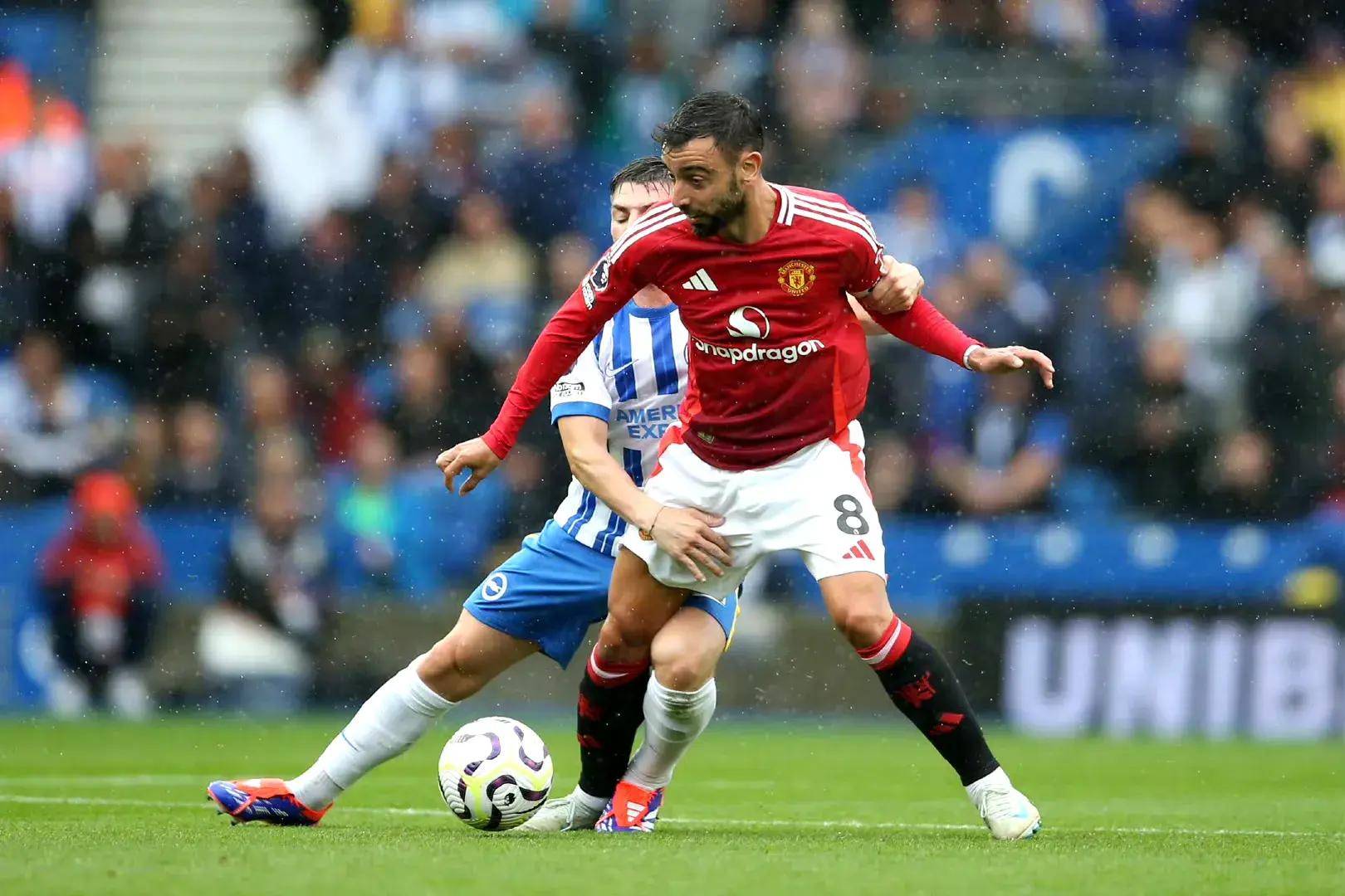 康复的细节 康复的细节